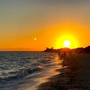 Meet your Posher, Rose